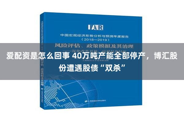 爱配资是怎么回事 40万吨产能全部停产，博汇股份遭遇股债“双杀”