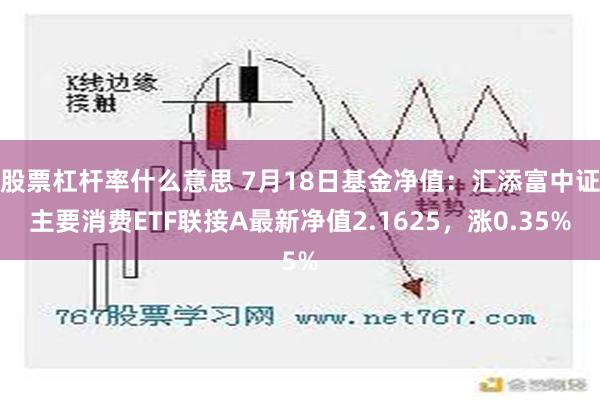 股票杠杆率什么意思 7月18日基金净值：汇添富中证主要消费ETF联接A最新净值2.1625，涨0.35%