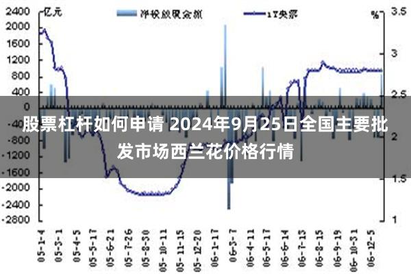 股票杠杆如何申请 2024年9月25日全国主要批发市场西兰花价格行情