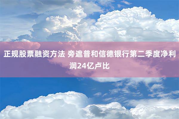 正规股票融资方法 旁遮普和信德银行第二季度净利润24亿卢比