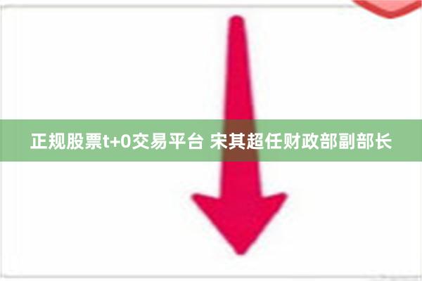 正规股票t+0交易平台 宋其超任财政部副部长